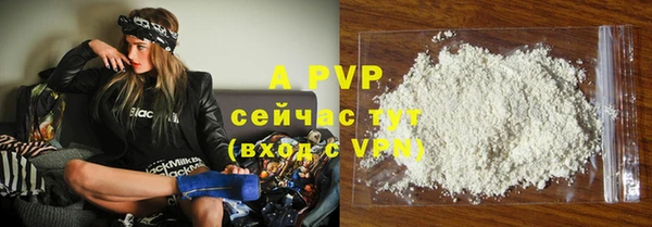 стафф Инта